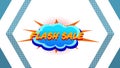 Flash SaleÃÂ graphicÃÂ on blue speech bubble